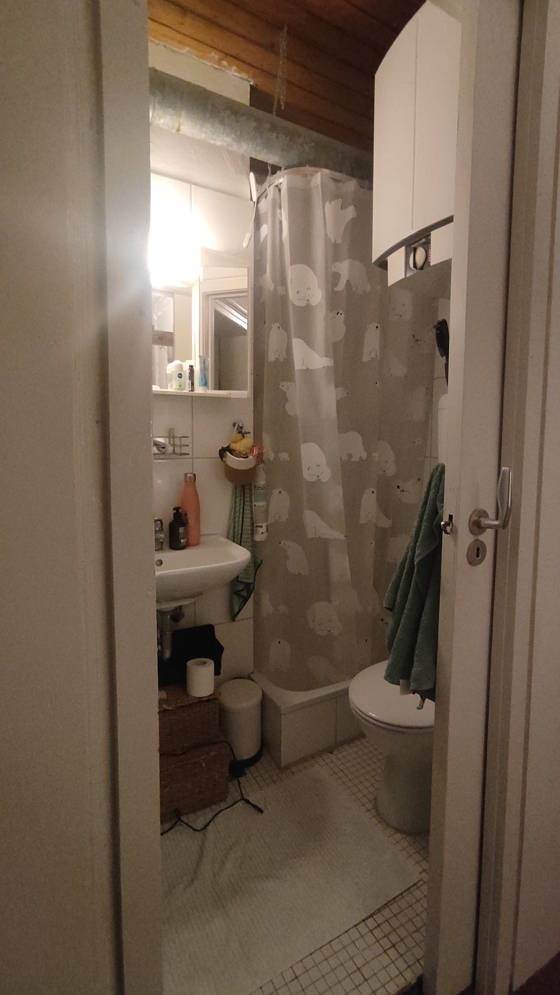 Small Bathroom — Toilet & Washbasin